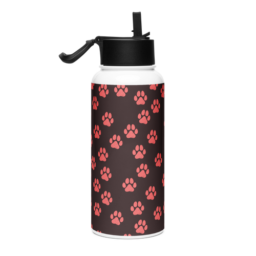 Stainless Steel Water Bottle (950ml) – Infra Pulse Series
