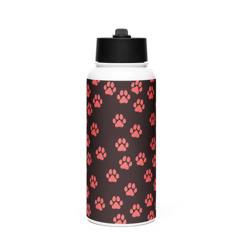 Stainless Steel Water Bottle (950ml) – Infra Pulse Series