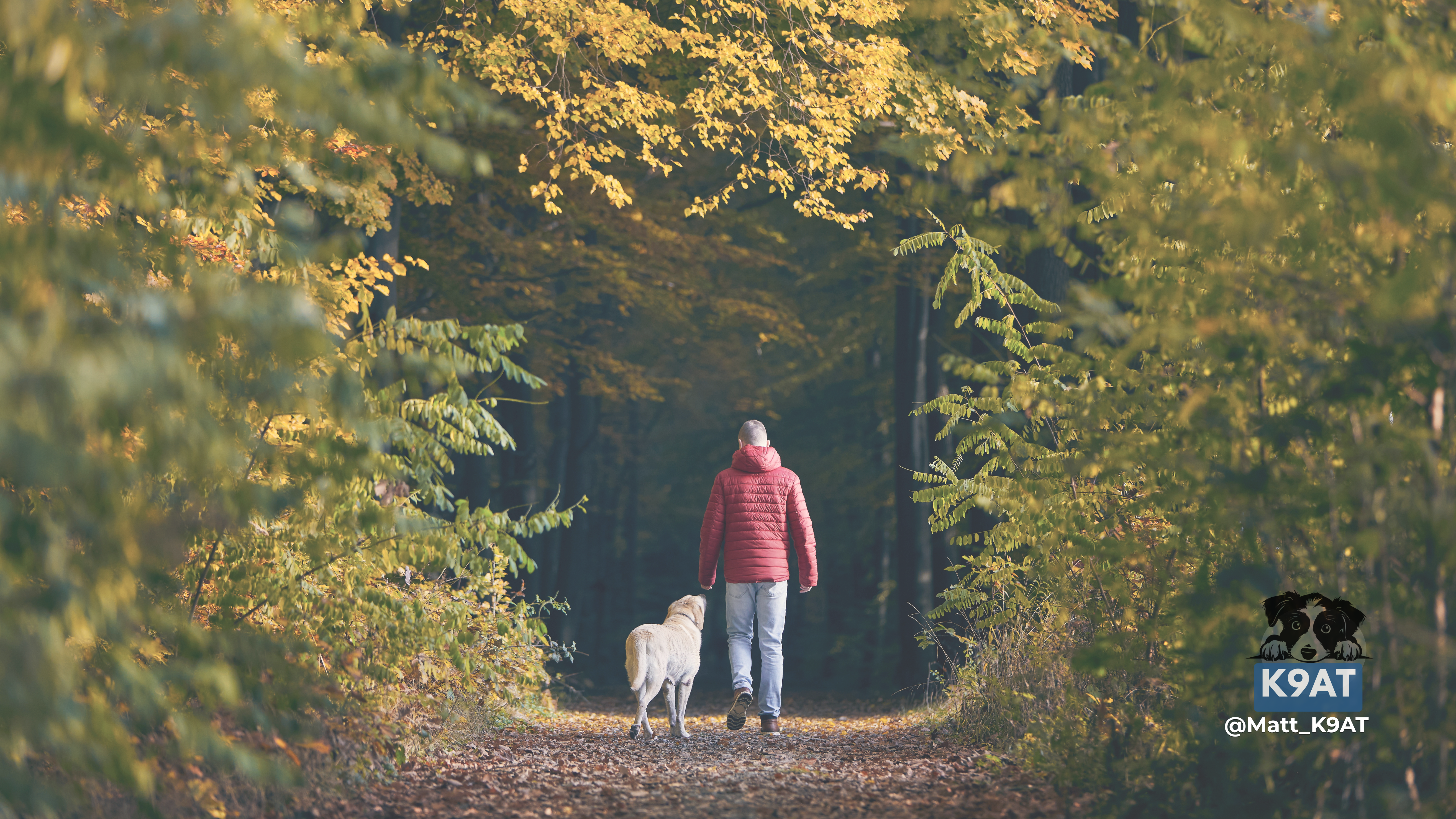 Meet Matt @ K9AT: Wagging Into the Spotlight