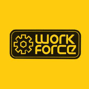 Image of the Work Force category