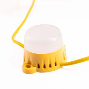 Image of the Vaunt Festoon Lights category