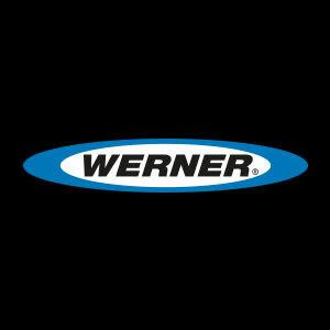 Image of the Werner category
