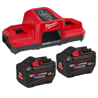 Image of a battery and charger