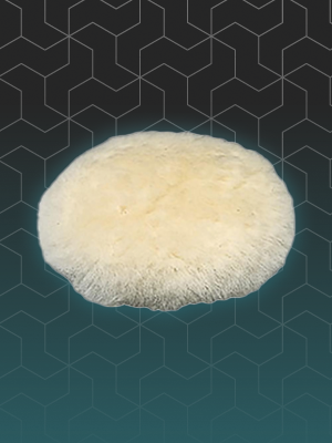 Image of the Makita Polishing Pads category