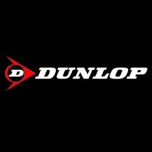 Image of the Dunlop category