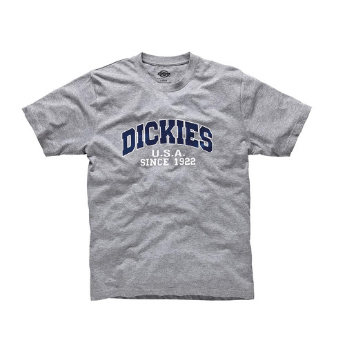 Dickies Grey T-Shirt image