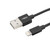 Ansmann 2m USB To Lightning cable image