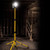 Defender 110V LED SingleTelescopic Tripod Light
