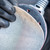 Bosch EXPERT 125mm 220G M480 Orbital Sanding Nets – Pack of 50