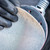 Bosch EXPERT 125mm 240G M480 Orbital Sanding Nets – Pack of 50