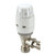 Danfoss RAS-C2 Combi TRV + Lockshield Valve 10mm
