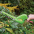 Draper Cordless Grass and Hedge Shear Kit (7.2V)