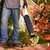 Stihl BGA 57 Cordless Leaf Blower - Body