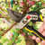 Stanley FATMAX GripHook Bypass Pruner