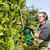 36v MultiVolt Hedge Trimmer Kit