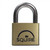 Squire LN5 Lion Range Brass Padlock 50mm image