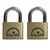 Squire LN5T Lion Brass Padlocks 50mm (2) image