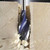 Irwin 10506620 Irwin Blue Groove 6X Auger Bit 16mm x 165mm