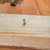 Vaunt 3.5mm x 20mm Multi-Purpose Wood Screws - Box of 1500 image D