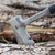 OX Pro 20oz Forged Steel Hatchet image 1