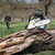 STIHL MS 181 C-BE Petrol 40cm Chainsaw image C
