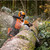 STIHL MS 500i Petrol 63cm Chainsaw image D