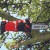 Einhell GE-LC 18 Li T-Solo 18V Pole Pruner - Body image B