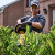 Dewalt DCMHT573N 54V XR FLEXVOLT Brushless 65cm Hedge Trimmer - Body image C