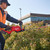 Milwaukee M18 FHET60G2-0 18V FUEL Brushless 60cm Hedge Trimmer - Body image D