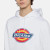 Dickies Icon Logo Hoodie - White image 5