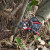 Milwaukee 25mm Bypass Pruning Shears image A