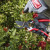 Milwaukee 20mm Bypass Pruning Shears image A