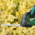 Bosch AdvancedShear 18V-10 Grass Shears - Body image A