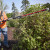 Milwaukee M18 FHETSP-0 18V FUEL Brushless Short Pole Hedge Trimmer - Body image C