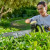 Ryobi RY36HT60A-0 36V MaxPower 60cm Hedge Trimmer - Body image A