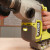 Ryobi RSDS18BL-0 18V ONE+ Brushless SDS+ Drill - Body image D