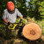Ryobi RY36CSX40C-140 36V MaxPower Brushless 40cm Chainsaw, 1x 4.0Ah Battery & Charger image A