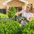 Ryobi RY18HT45A-0 18V ONE+ 45cm Hedge Trimmer - Body image C