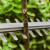 Ryobi RY36PHT50A-0 36V MaxPower 2.9m Pole Hedge Trimmer - Body image C