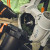 Stihl SHA 140 Cordless Vacuum Shredder - Body image D