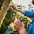 Ryobi R18ID2-0 18V ONE+ Impact Driver, 1x 4.0Ah Battery & Charger image C