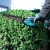 Makita UH023GZ 40V XGT Brushless Hedge Trimmer - Body image B