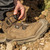 Dewalt GRIDX S7S BOA Safety Boots - Stone image B