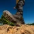Dewalt STEELFORGE S7 Safety Boots - Black image B