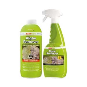Patio and Paving Treatments
