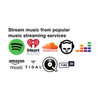 WiiM Audio Streaming Units Amplifier - Dark Grey