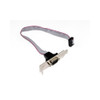 Server - Generic DB9 Serial Header Cable with Low Profile Bracket - 30cm cable