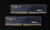 G.SKILL F5-6000J3038F8GH2-FX5 16GB (2 x 8GB)/ DDR5 6000 MT/s/ Timings 30-38-38-96/ Voltage 1.35V/ EXPO/Flare X5