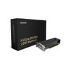 NVIDIA RTX PRO 2000 BLACKWELL 16GB GDDR7 70W PCIE5X8 mDP2.1G(4) 2SL