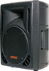 Redback 254mm 10 Inch 120W 2 Way Club Series PA Speaker